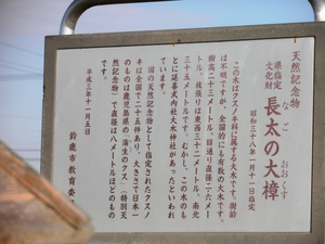長太の大楠 銘板.JPG